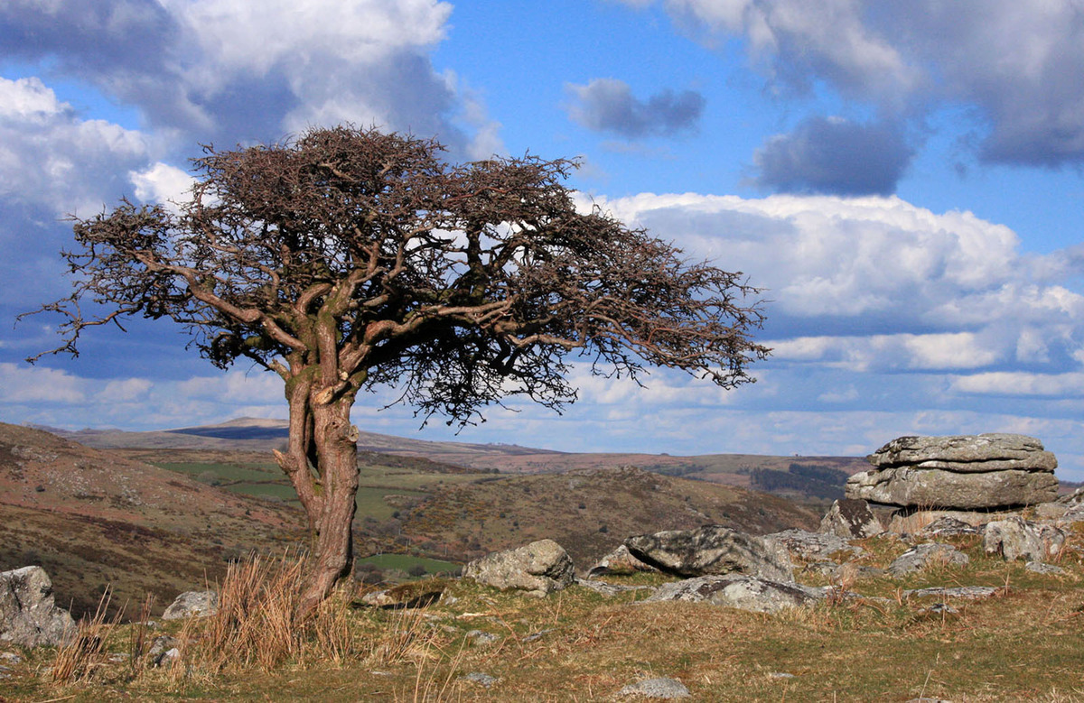 Sculpted by the Wind - Brian Moyse